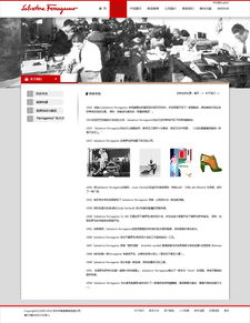 網(wǎng)站設(shè)計(jì)與網(wǎng)頁設(shè)計(jì) 數(shù)字時代視覺與功能的雙重奏